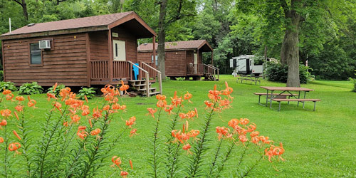 Amenities